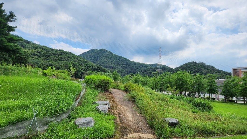 바람개비 언덕